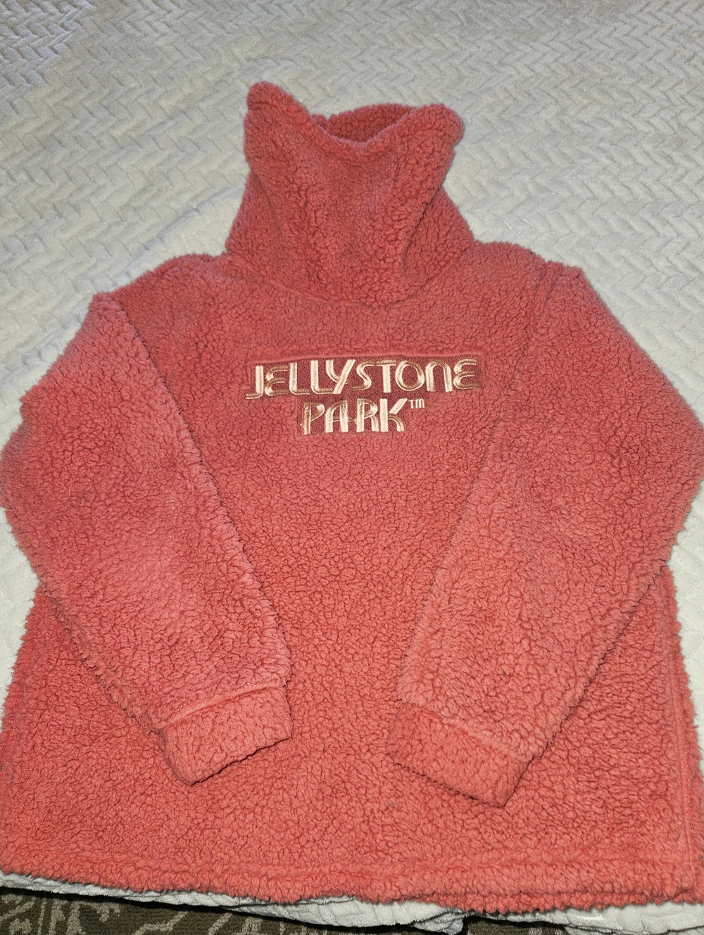 Jellystone Park Plush Coral Sherpa Pullover